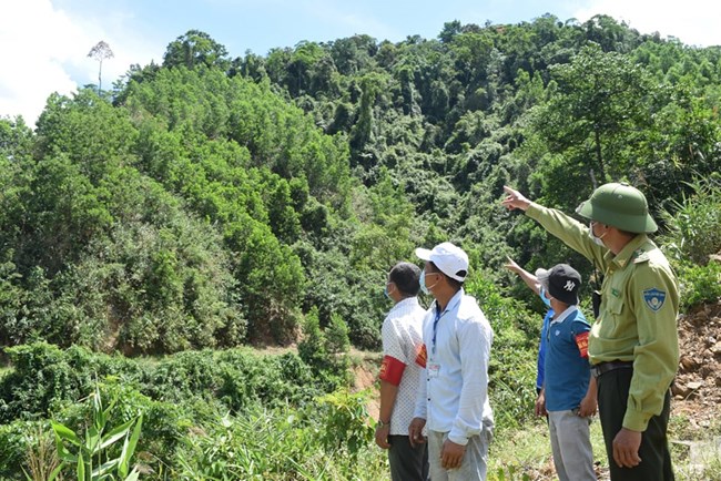 
Đà Nẵng ngăn chặn người dân vào rừng chặt cây ươi khai thác quả (8/7/2021)